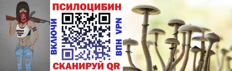 Галлюциногенные грибы прущие грибы  купить наркотики сайты  Закаменск 