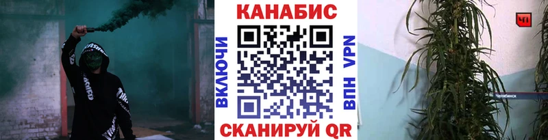 Бошки марихуана семена  закладки  Закаменск 